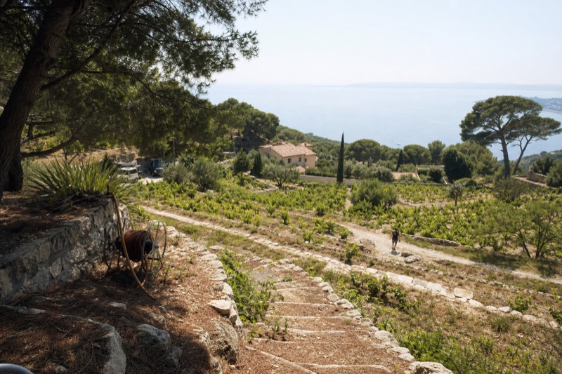 Half-Day Bandol And Cassis