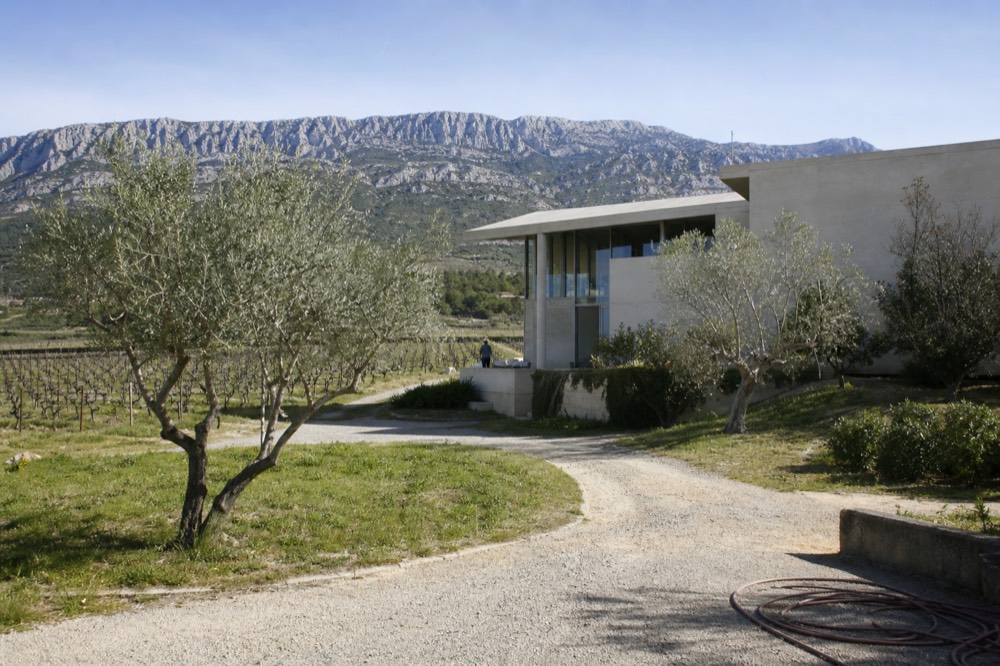 A modern winery building among vineyards and olive trees near Aix-en-Provence, no text, no logos, no people