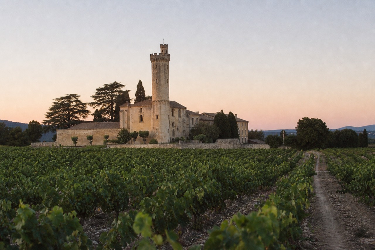 A stone château tower rising above rows of vineyard in Provence, no text, no logos, no people.