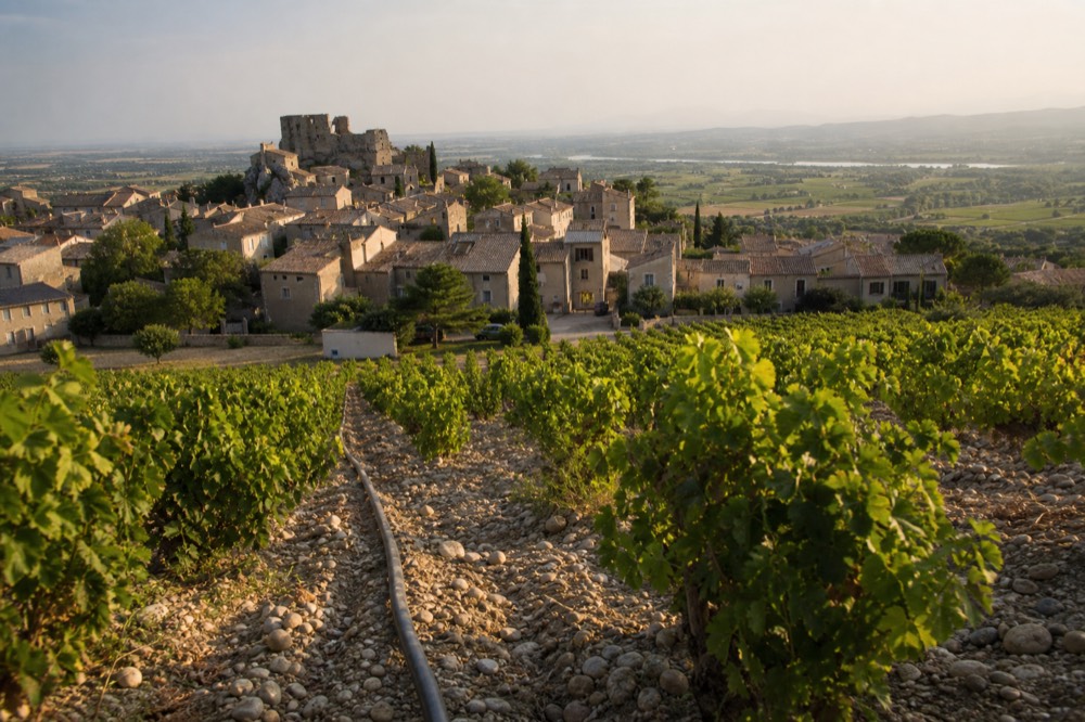 Vineyard rows and the village of Châteauneuf-du-Pape on its hill above the Rhône plain, no text, no logos, no people