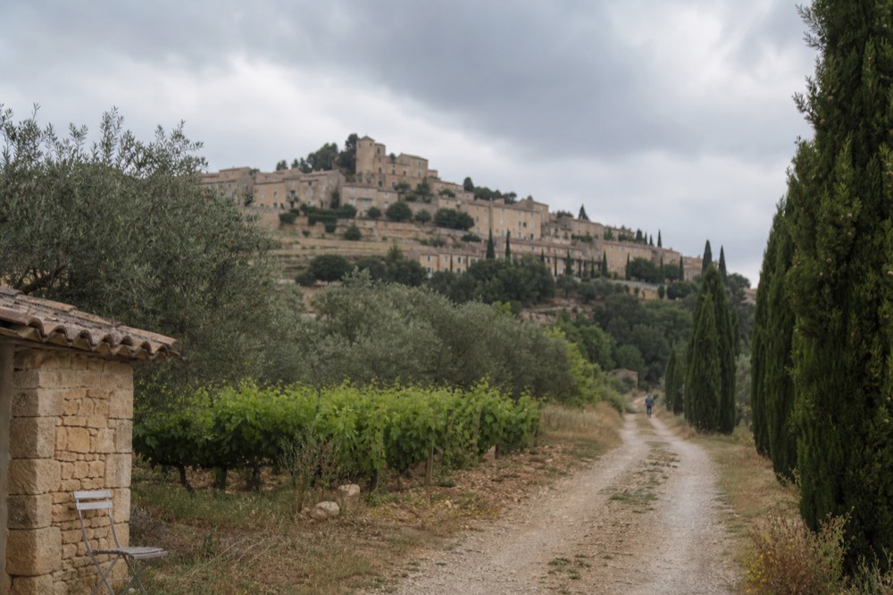 A stone hilltop village above olive groves and vineyards in Provence, no text, no logos, no people