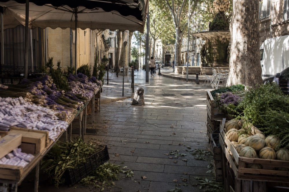 Provencal market with fresh produce and lavender, no text, no logos, no people