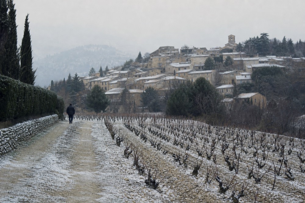 Winter vineyard rows with bare vines and a dusting of snow on the Luberon hills, no text, no logos, no people