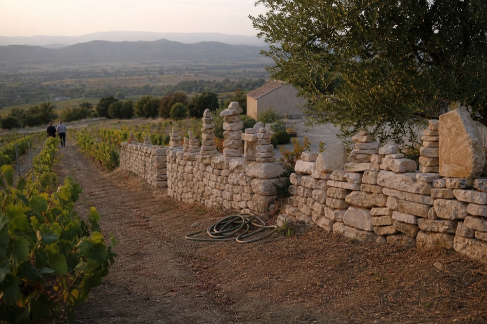 A stone sculpture wall in a vineyard with the Luberon hills behind, no text, no logos, no people