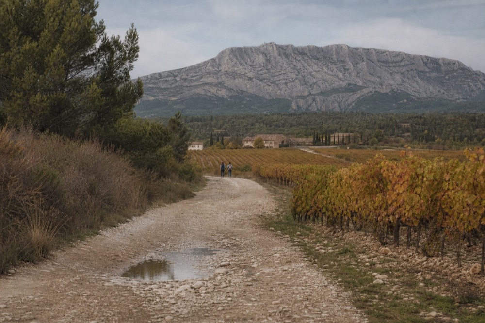 A vineyard road beneath the Sainte-Victoire mountain near Aix-en-Provence, no text, no logos, no people.