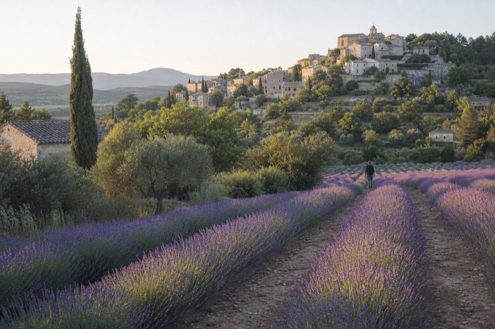 Lavender rows and a distant perched village on a Provence hillside, no text, no logos, no people.