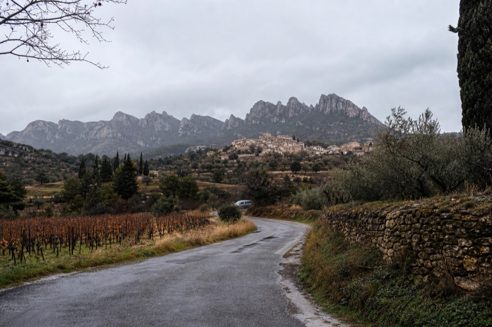 A winding road through vineyards with a hilltop village on the horizon, no text, no logos, no people