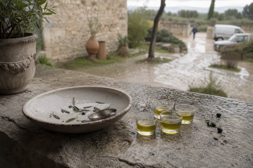 Provençal olive oil tasting, no text, no logos, no people