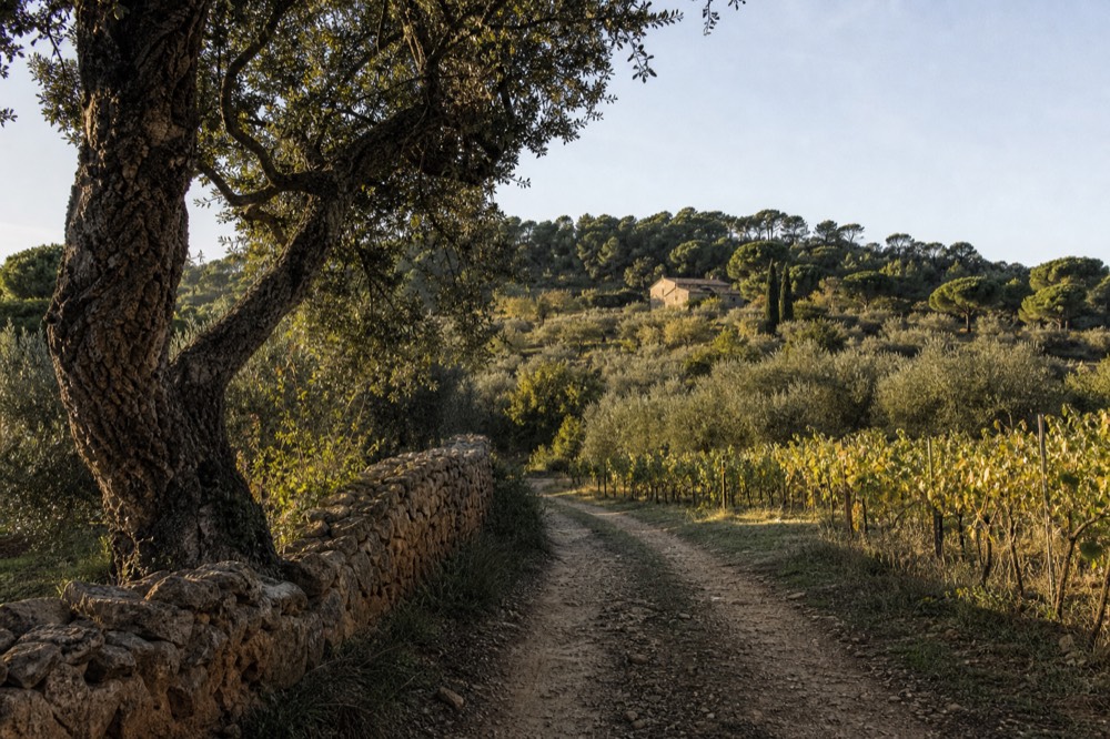 Provence countryside near Correns, no text, no logos, no people
