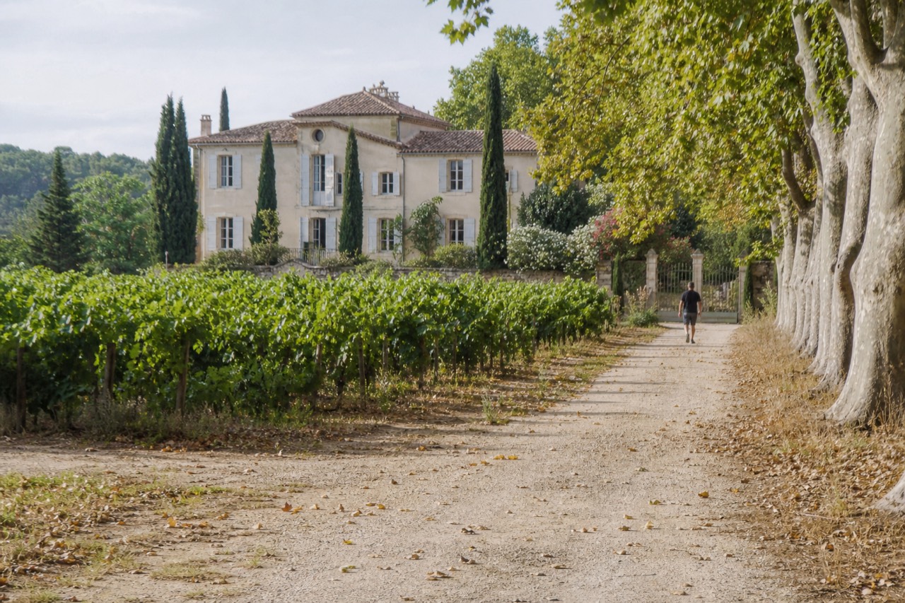 Château Miraval estate and vineyards in Provence, no text, no logos, no people