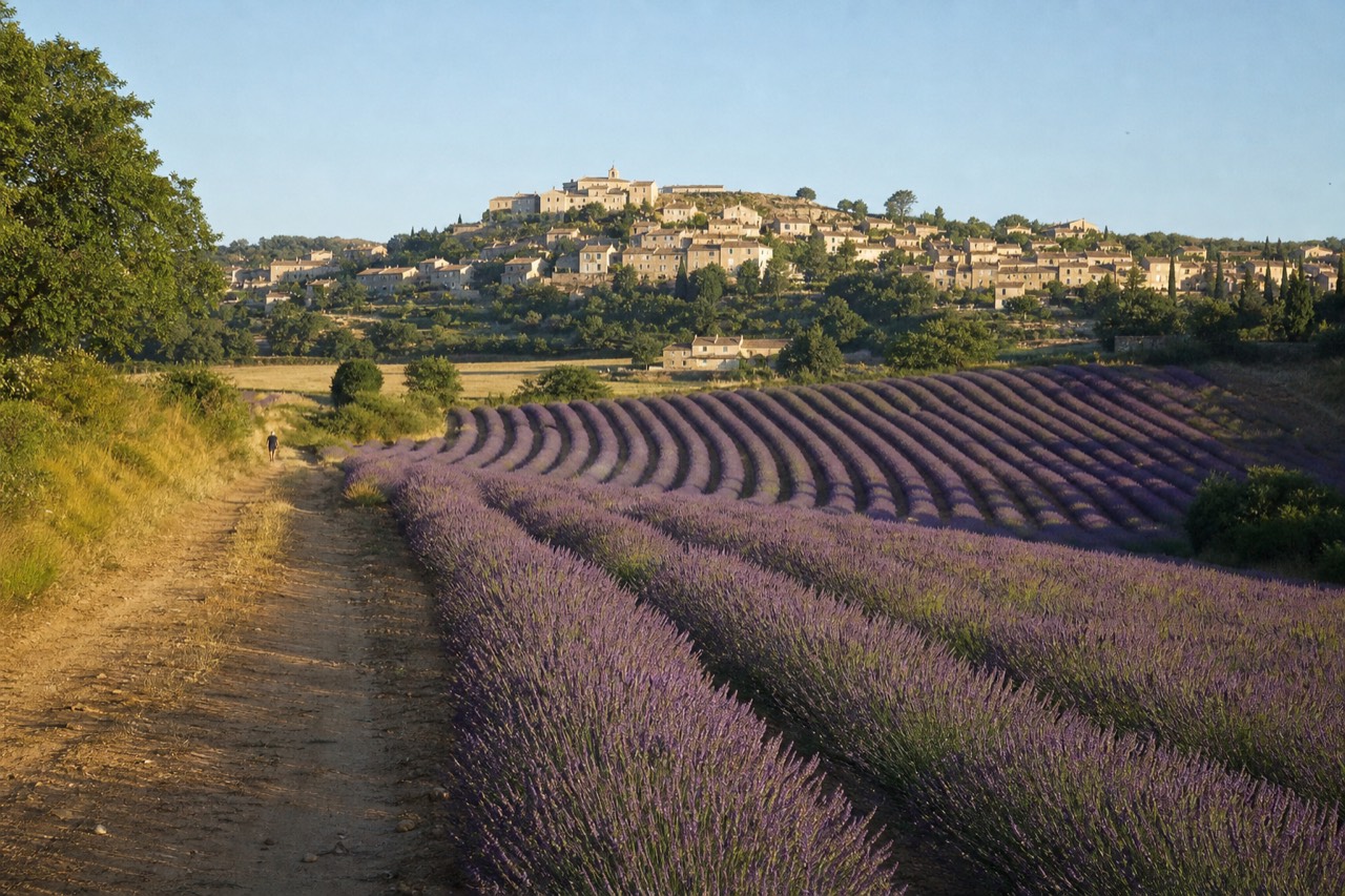 Lavender rows and a hilltop village under a clear Provence sky, no text, no logos, no people