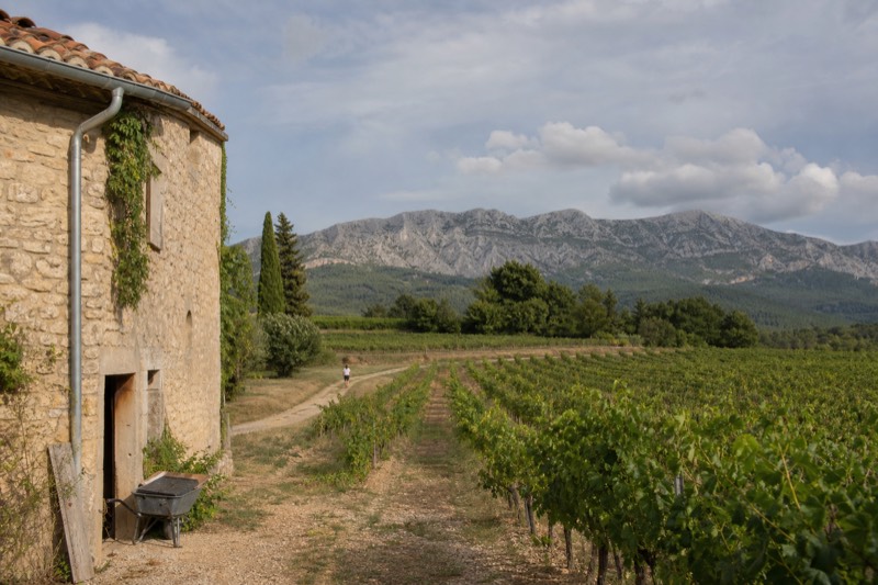 Vine rows and rolling countryside on the Cotes de Provence route out of Aix-en-Provence