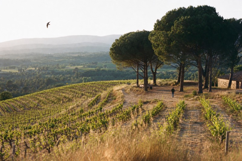Côtes de Provence vineyard country inland from Nice and Cannes