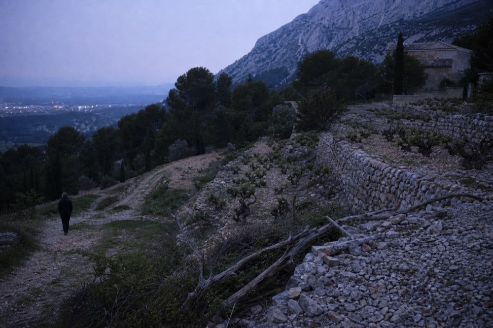 Limestone vineyard terraces below Sainte-Victoire mountain, no text, no logos, no people