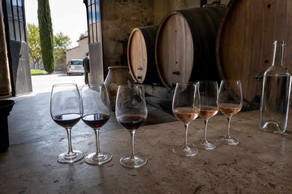 A tasting flight of red and rosé wines on a cellar counter, no text, no logos, no people
