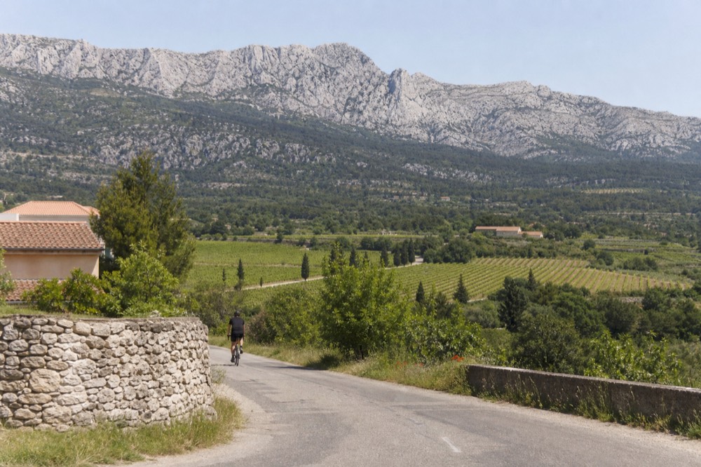 Vineyards below the Sainte-Victoire mountain ridge near Aix-en-Provence, no text, no logos, no people