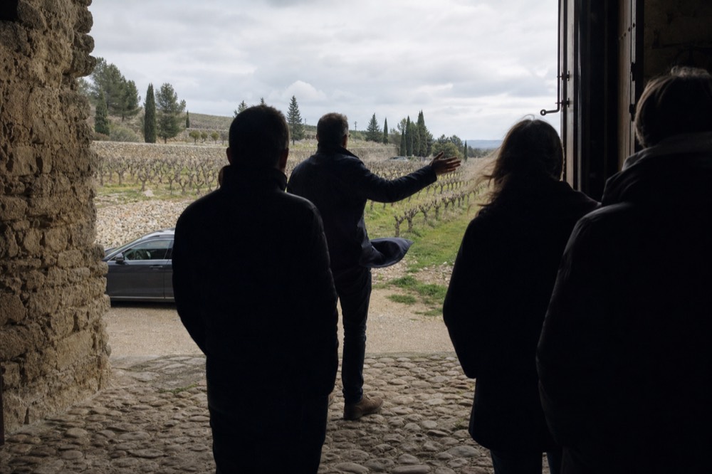 A guide pointing to a vineyard map while a small group listens, no text, no logos, no people