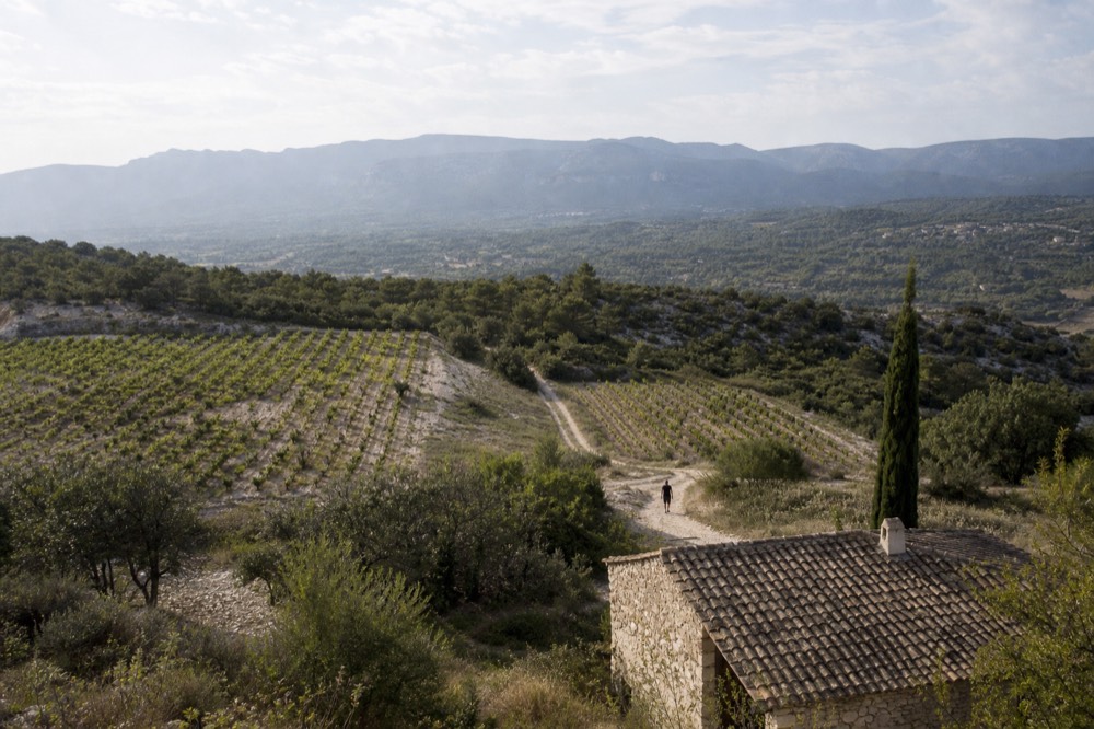 Limestone hills with scattered vineyards and a distant mountain ridge, no text, no logos, no people