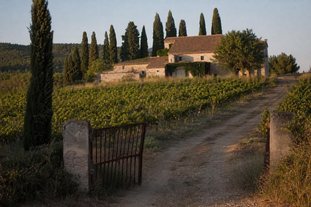 A stone farmhouse and cypress trees above vineyard rows in Provence, no text, no logos, no people
