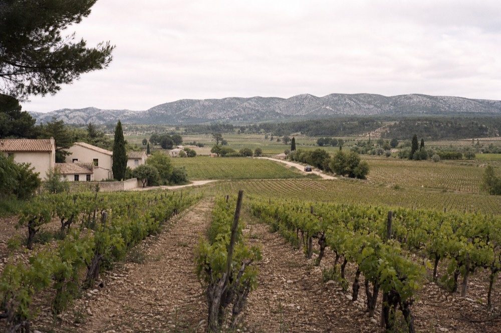 Rolling vineyards with rows of grenache vines and a distant limestone ridge, no text, no logos, no people