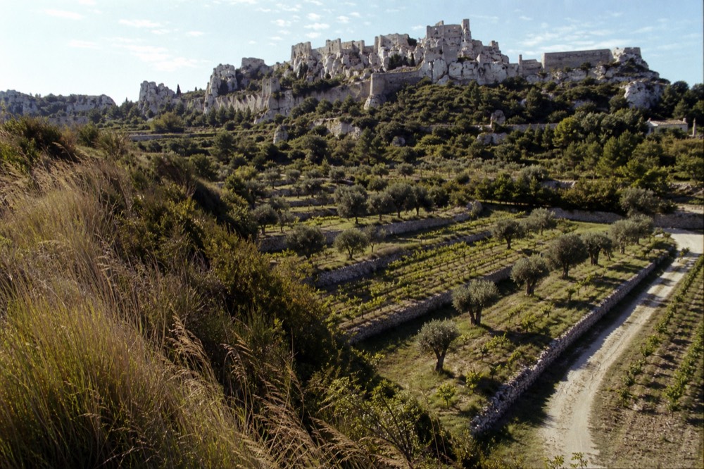 Terraced vineyards on a rocky hillside in the Alpilles near Les Baux de Provence, no text, no logos, no people