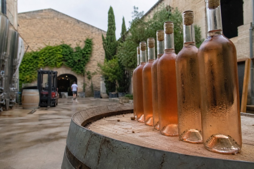 A row of pale rosé bottles lined up on a cellar barrel, no text, no logos, no people