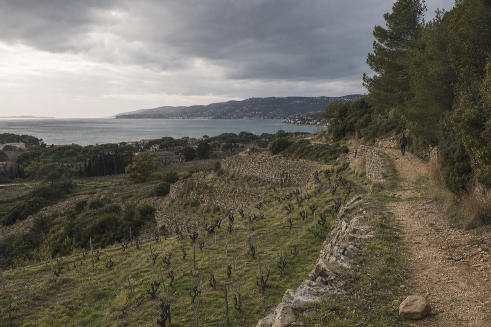 Terraced vineyards with dry-stone walls under a Provençal sky, no text, no logos, no people