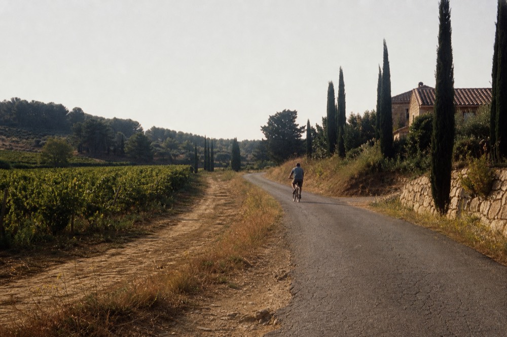 A country road winding through the Provence wine region between vineyards, no text, no logos, no people
