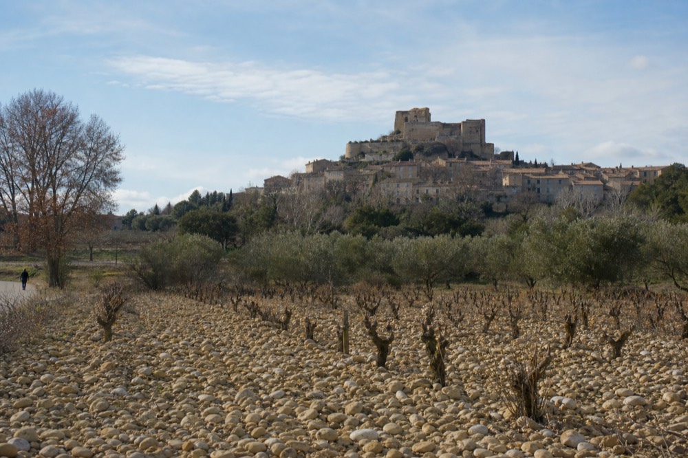 Rows of vines with a distant hilltop village under a bright sky, no text, no logos, no people