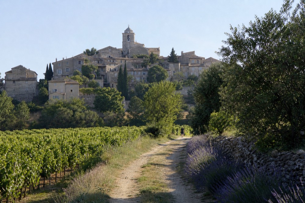 A hilltop village seen from a vineyard road, no text, no logos, no people