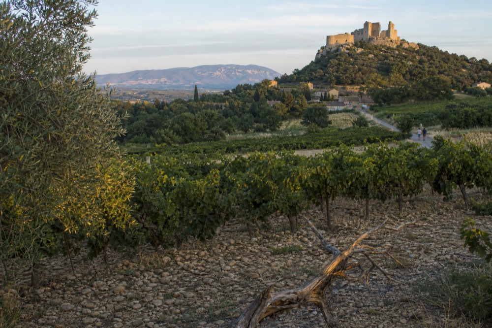 View over Châteauneuf-du-Pape vineyards with the Pope's ruined castle on the hill, no text, no logos, no people