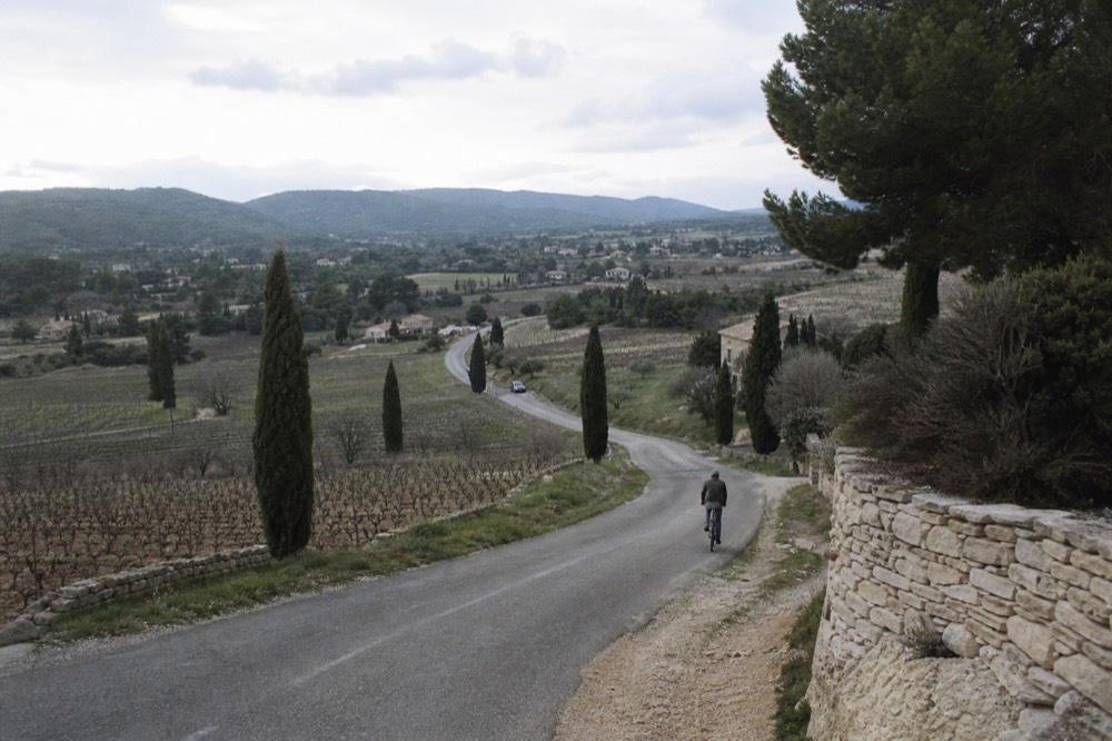 Narrow country road winding through Luberon vineyards and hills, no text, no logos, no people